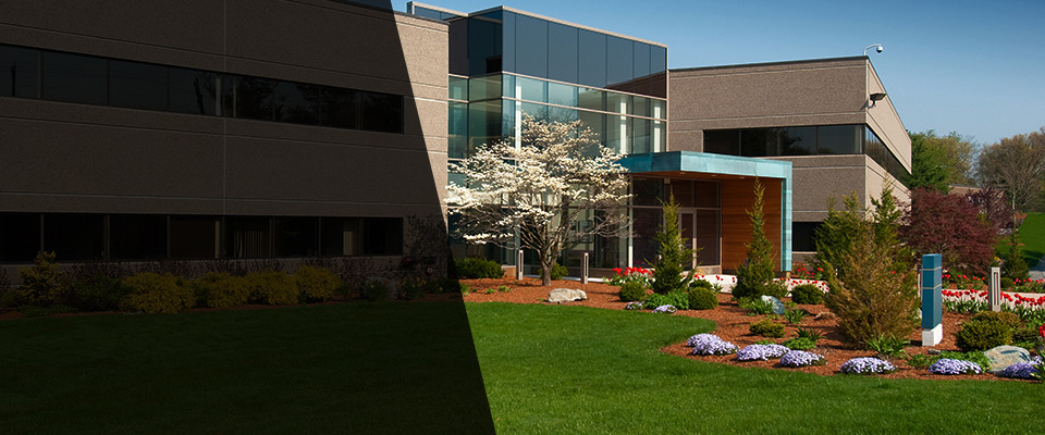 Hayes Landscapers