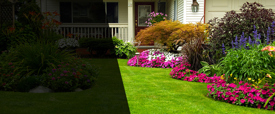 Hayes Landscapers
