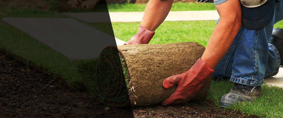 Hayes Landscapers